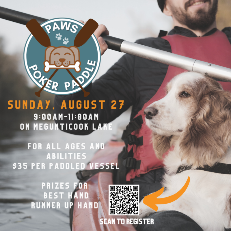 Paddle paws discount